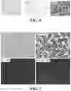 Fig. 06 - Microbubble and nanobubble expansion using perfluorocarbon nanodroplets for enhanced ultrasound imaging and therapy
