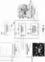 Fig. 04 - System and method for generating selective stain segmentation images for cell types of interest