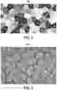 Fig. 08 - System and method for generating selective stain segmentation images for cell types of interest