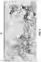 Fig. 09 - System and method for generating selective stain segmentation images for cell types of interest