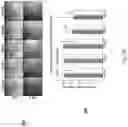Fig. 07 - System and method for tissue viability screening