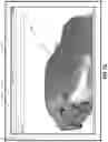 Fig. 08 - Mixing segmentation algorithms utilizing soft classifications to identify segments of three-dimensional digital models