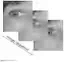 Fig. 02 - System and method for eye tracking