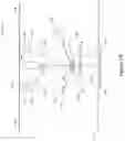 Fig. 03 - Image registration of treatment planning image, intrafraction 3D image, and intrafraction 2D x-ray image