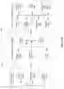 Fig. 09 - Image registration of treatment planning image, intrafraction 3D image, and intrafraction 2D x-ray image