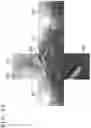 Fig. 34 - Image processing apparatus and image processing method