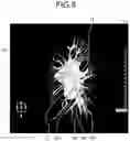 Fig. 07 - Medical image processing apparatus and medical image processing method using depth-dependent transmittance and opacity information