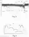 Fig. 08 - Assessing historical telematic vehicle component maintenance records to identify predictive indicators of maintenance events