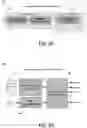 Fig. 04 - Determining input data for speech processing