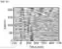 Fig. 09 - Methods and magnetic imaging devices to inventory human brain cortical function