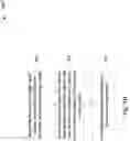 Fig. 07 - Integrated circuit and method of testing
