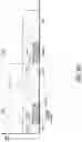 Fig. 28 - Advanced backhaul services