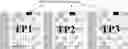 Fig. 01 - Method of scrambling reference signals, device and user equipment using the method