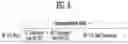 Fig. 09 - Method for estimating self-interference channel and device for same
