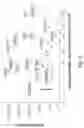 Fig. 12 - Method and system for clustering darknet traffic streams with word embeddings