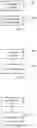Fig. 09 - Method, device and system for synchronously playing message stream and audio-video stream