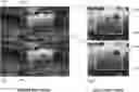 Fig. 01 - VR 360 video for remote end users