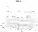 Fig. 07 - Panel bottom member structure and display device
