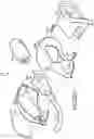 Fig. 17 - Mouthguards and methods of use