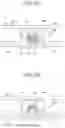Fig. 03 - Display apparatus