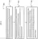 Fig. 10 - Advanced scene classification for prosthesis