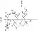 Fig. 28 - Advanced scene classification for prosthesis