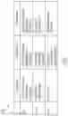 Fig. 08 - Spatial audio for interactive audio environments