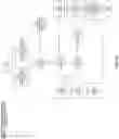 Fig. 19 - Systems and methods for mobile peer-to-peer content sharing
