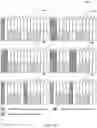 Fig. 09 - Method and apparatus for resource mapping of PDSCH on unlicensed spectrum