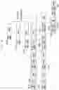 Fig. 35 - Method and apparatus for data processing in wireless communication system