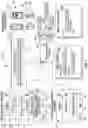 Fig. 02 - Systems, devices, methods, and program products enhancing structure walkthroughs