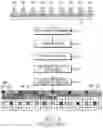 Fig. 05 - Extending physical downlink control channels