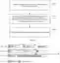 Fig. 02 - TRS burst transmission method and apparatus