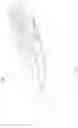 Fig. 02 - Electrical connection apparatus