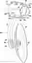 Fig. 01 - Triangular tiller jump arm mount