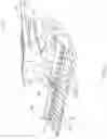 Fig. 02 - Composite stalk roll