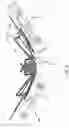 Fig. 06 - Agricultural implement having arms movable to headland positions