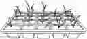 Fig. 01 - Methods of producing sugar cane transplant units