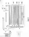 Fig. 04 - Automated insect rearing facility, container, and modules
