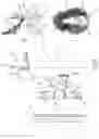 Fig. 03 - Method of filling feeding pans as well as a feeding system