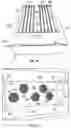 Fig. 03 - Two queen bee hive queen excluder assembly
