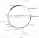 Fig. 06 - Recombinant constructs and transgenic fluorescent ornamental fish therefrom