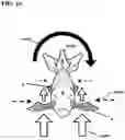 Fig. 09 - SWIMBAITS WITH FLUTTERING DUAL PLANE TAIL ROTATION