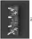 Fig. 05 - HERBICIDE COMPOSITIONS AND METHODS OF CONTROLLING GROWTH OF PLANTS