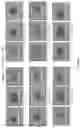 Fig. 09 - Viral Mediated Biological Control of Plant Pathogenic Microorganisms