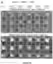 Fig. 10 - Viral Mediated Biological Control of Plant Pathogenic Microorganisms