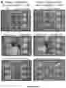 Fig. 12 - Viral Mediated Biological Control of Plant Pathogenic Microorganisms