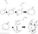 Fig. 01 - Multipurpose mosquito repellant composition and method of manufacturing the same