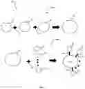 Fig. 02 - Multipurpose mosquito repellant composition and method of manufacturing the same