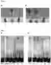 Fig. 02 - DEHYDRATED NA2-IMP AS ANTI-CAKING AGENT